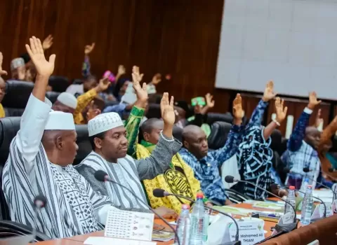 المجلس الوطني الانتقالي في غينيا