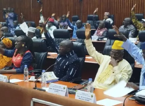 المجلس الانتقالي في غينيا